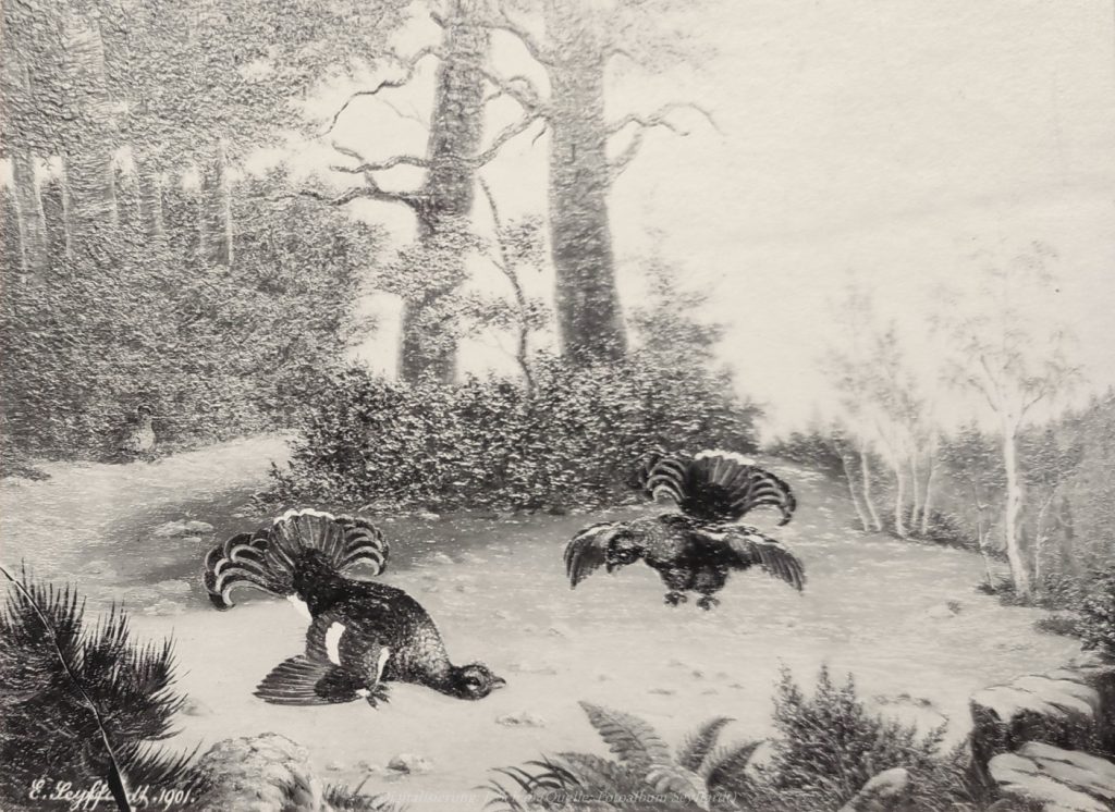 Ölgemälde des Künstlers und Seidenfabrikanten Ernst Seyffardt, Pfalz - Realismus, romantischer Realismus, aus Fotoalbum der Ernst Seyffardt