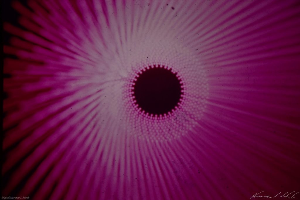 Lightshow-Dia, Lichtkunst Vincent Schab Anfang 1970er Jahre, Lichtgrafik, Lightshow, Lichtenvironments