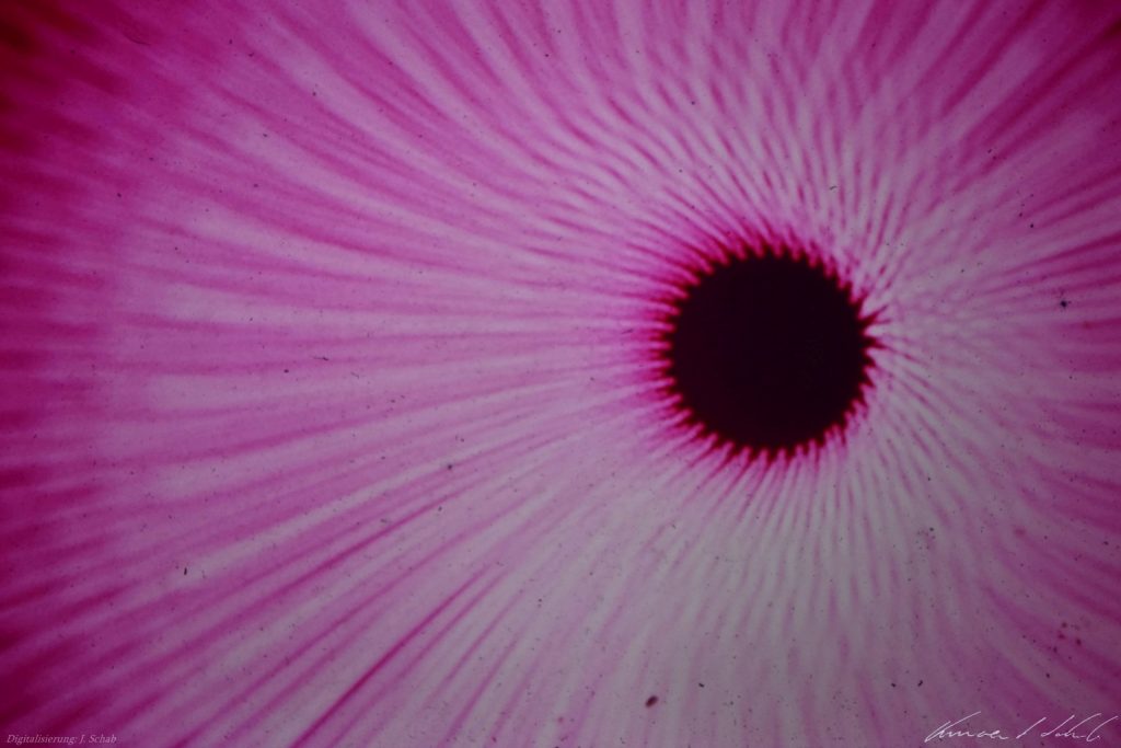 Lightshow-Dia, Lichtkunst Vincent Schab Anfang 1970er Jahre, Lichtgrafik, Lightshow, Lichtenvironments