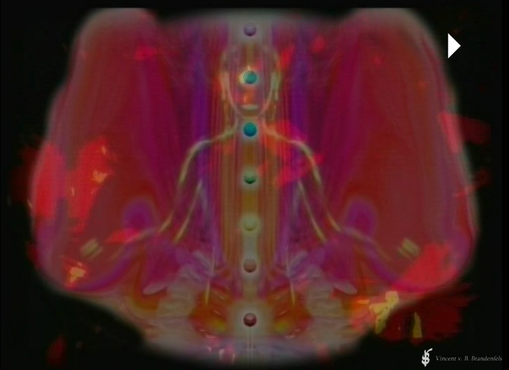Videos – Screenshots von Cybernetic Loops – Visionismus -  Vincent von Brandenfels: Vincent Schab, 2000er Jahre