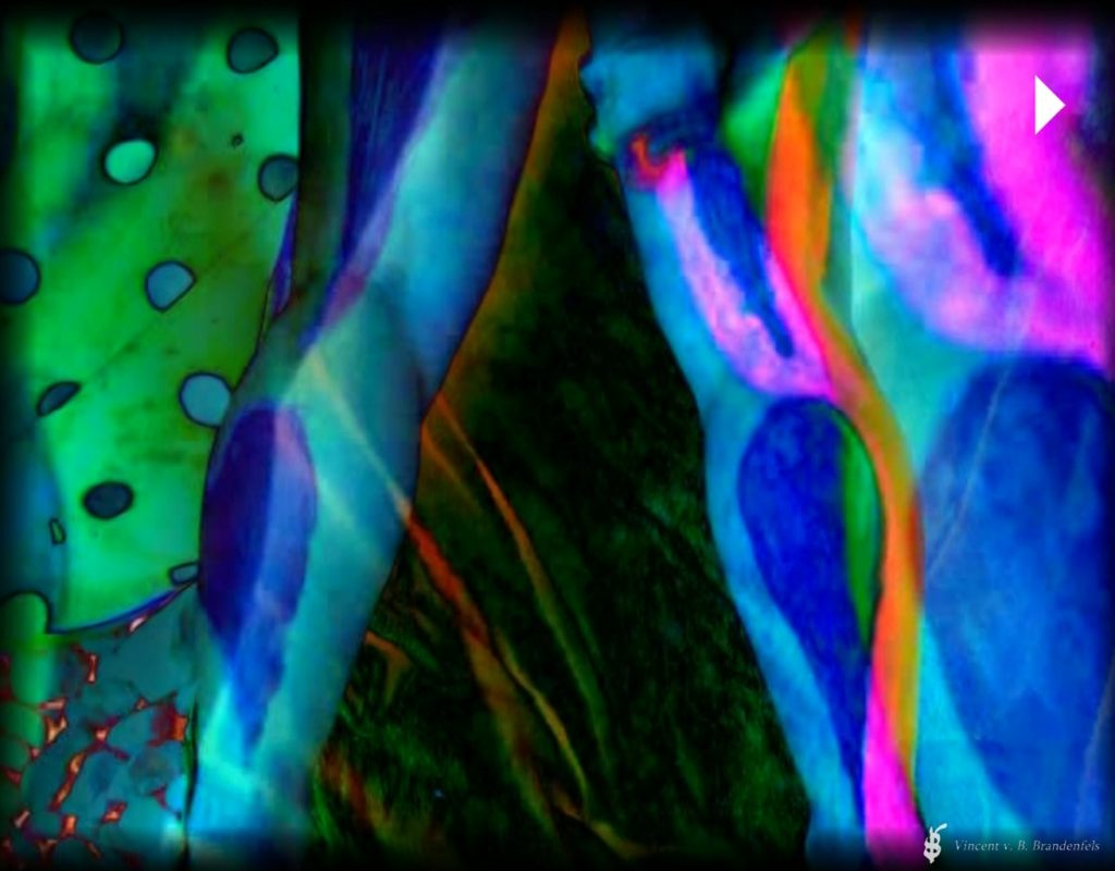 Videos – Screenshots von Cybernetic Loops – Visionismus -  Vincent von Brandenfels: Vincent Schab, 2000er Jahre
